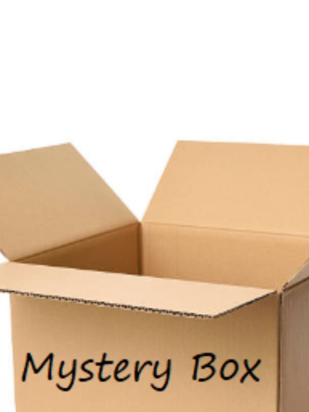 🎅🏻⛄🎄Holiday Decor Myster Box (up to 5 lbs)
